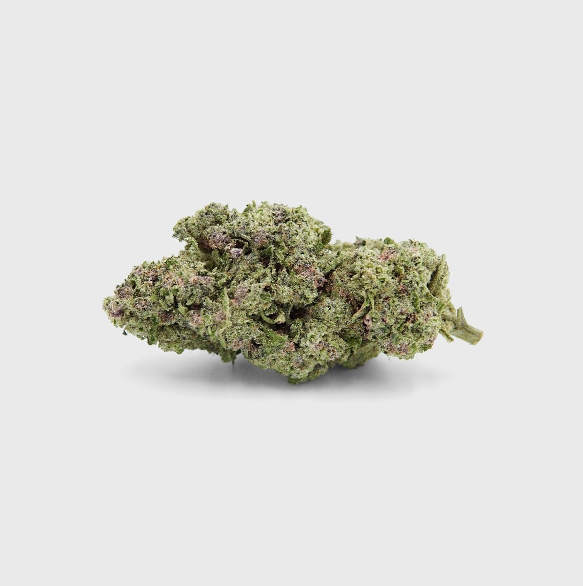 💜 Purple Dash 17% Cali CBG Blüten 3g Dose - Hanfify®