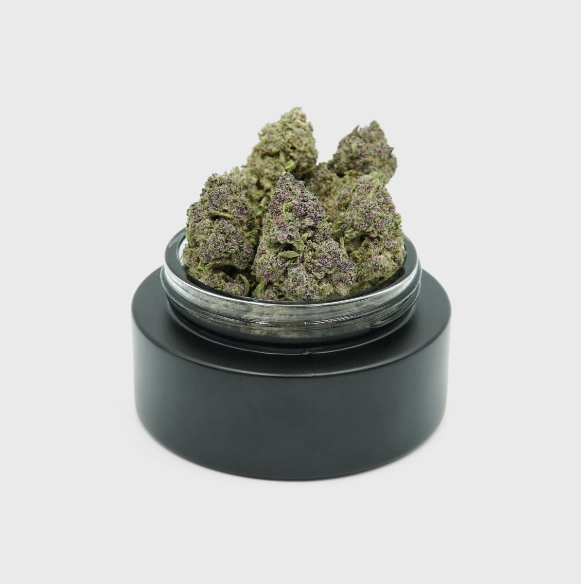 💜 Purple Dash 17% Cali CBG Blüten 3g Dose - Hanfify®