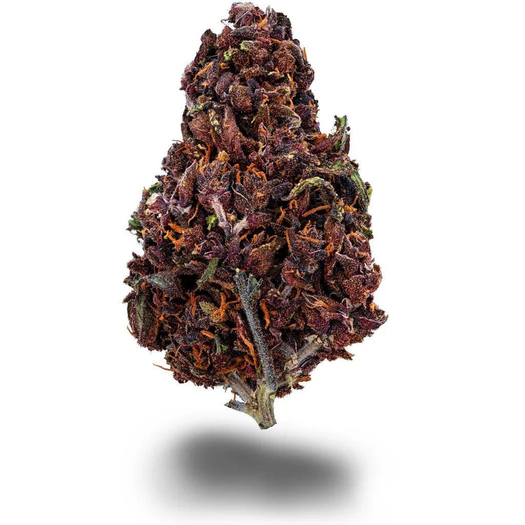 Purple Haze - Blüten - Hanfify®