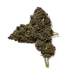 Purple Haze Glas Blüten 3g - Hanfify®