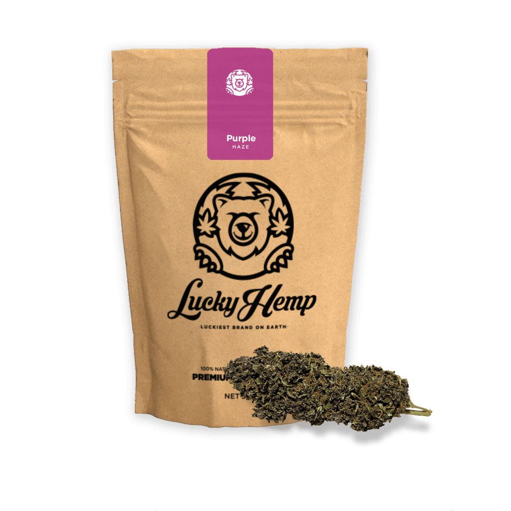 Purple Haze Ökopack - Blüten - Hanfify®