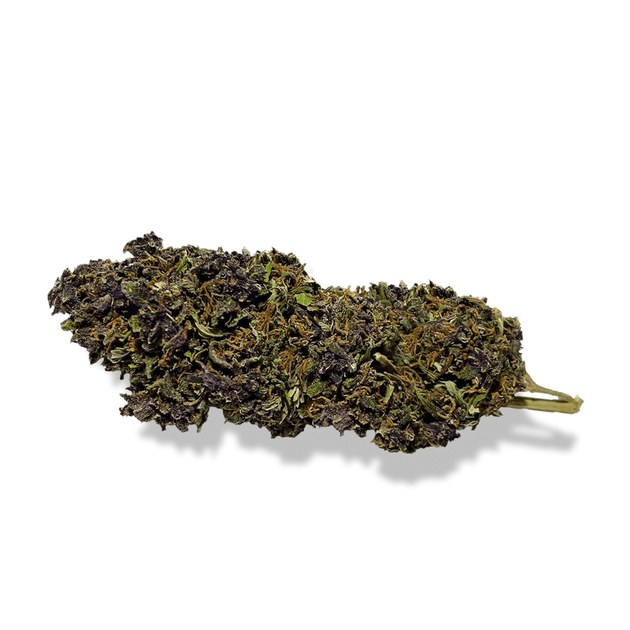 Purple Haze Ökopack Blüten 3g - Hanfify®