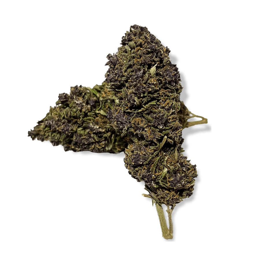 Purple Haze Ökopack Blüten 3g - Hanfify®