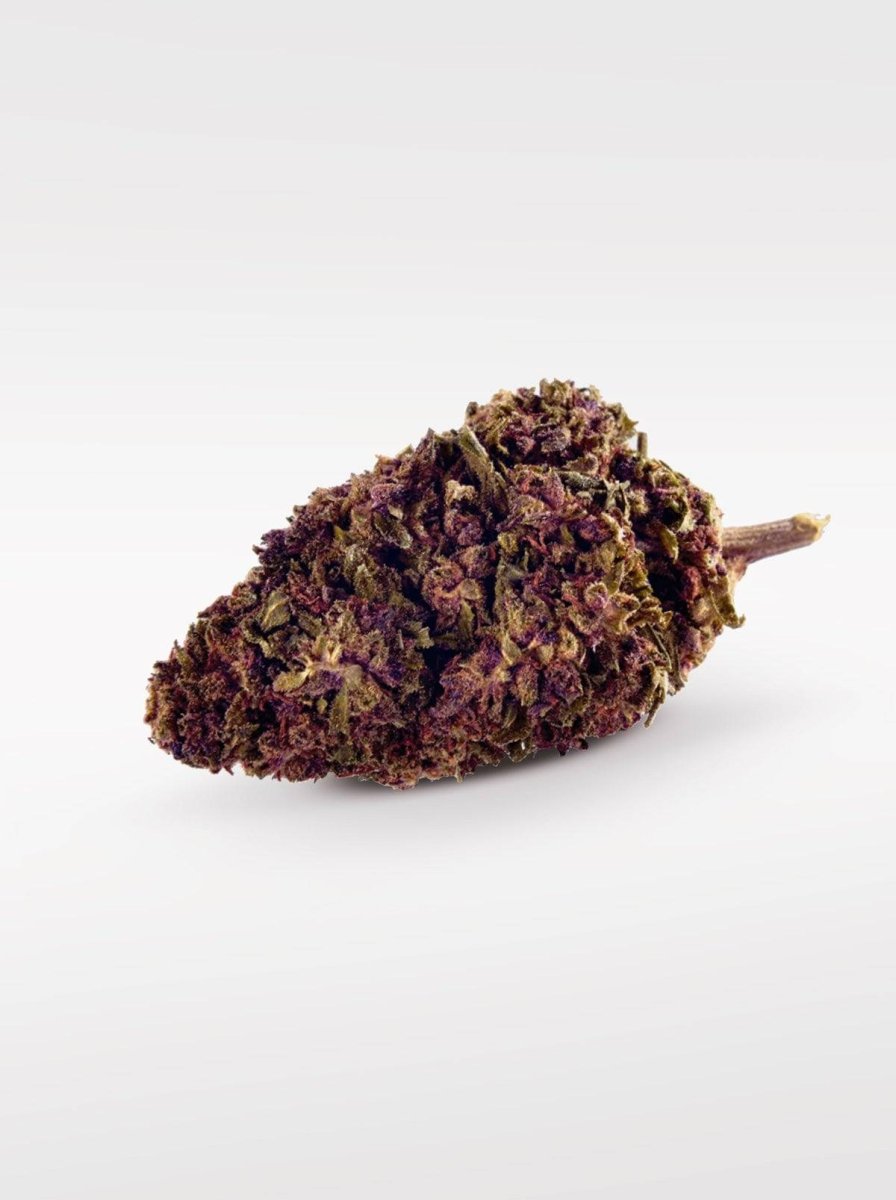 Purple Kinky Kush - Superior Blüte 40% Blüten - Hanfify