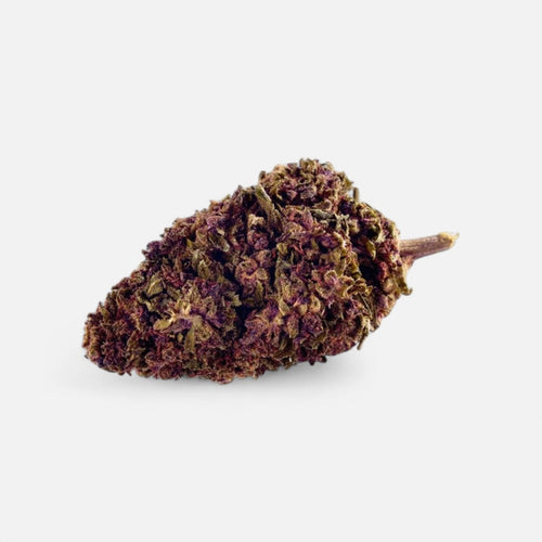 Purple Kinky Kush - Superior Blüte 40% Blüten - Hanfify