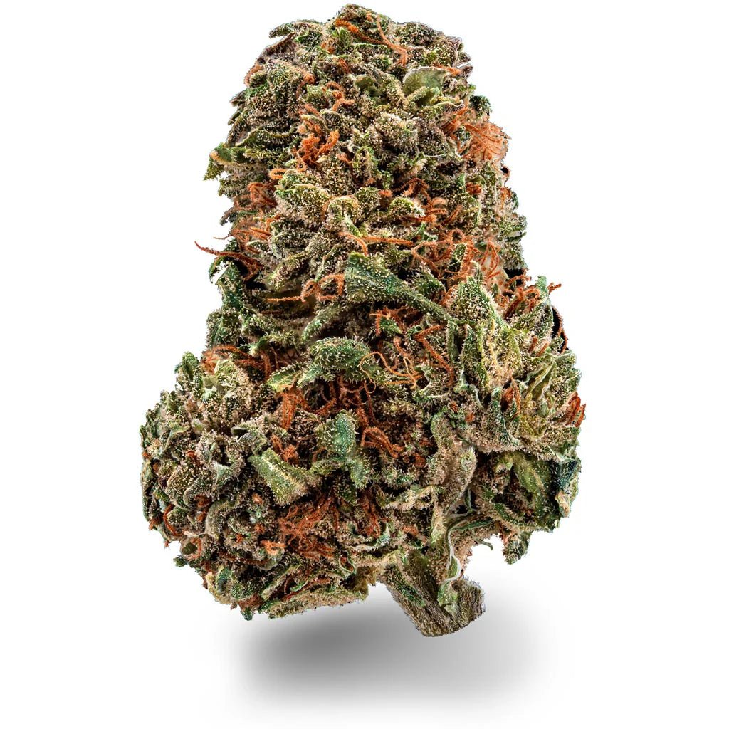 Purple Kush Blüten 2,5g - Hanfify