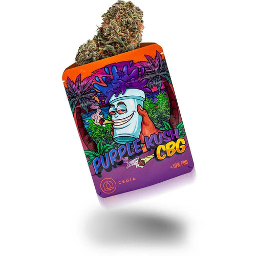 Purple Kush - Blüten - Hanfify®