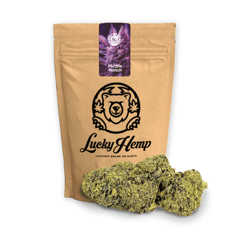 Purple Punch Ökopack Blüten 3g - Hanfify®