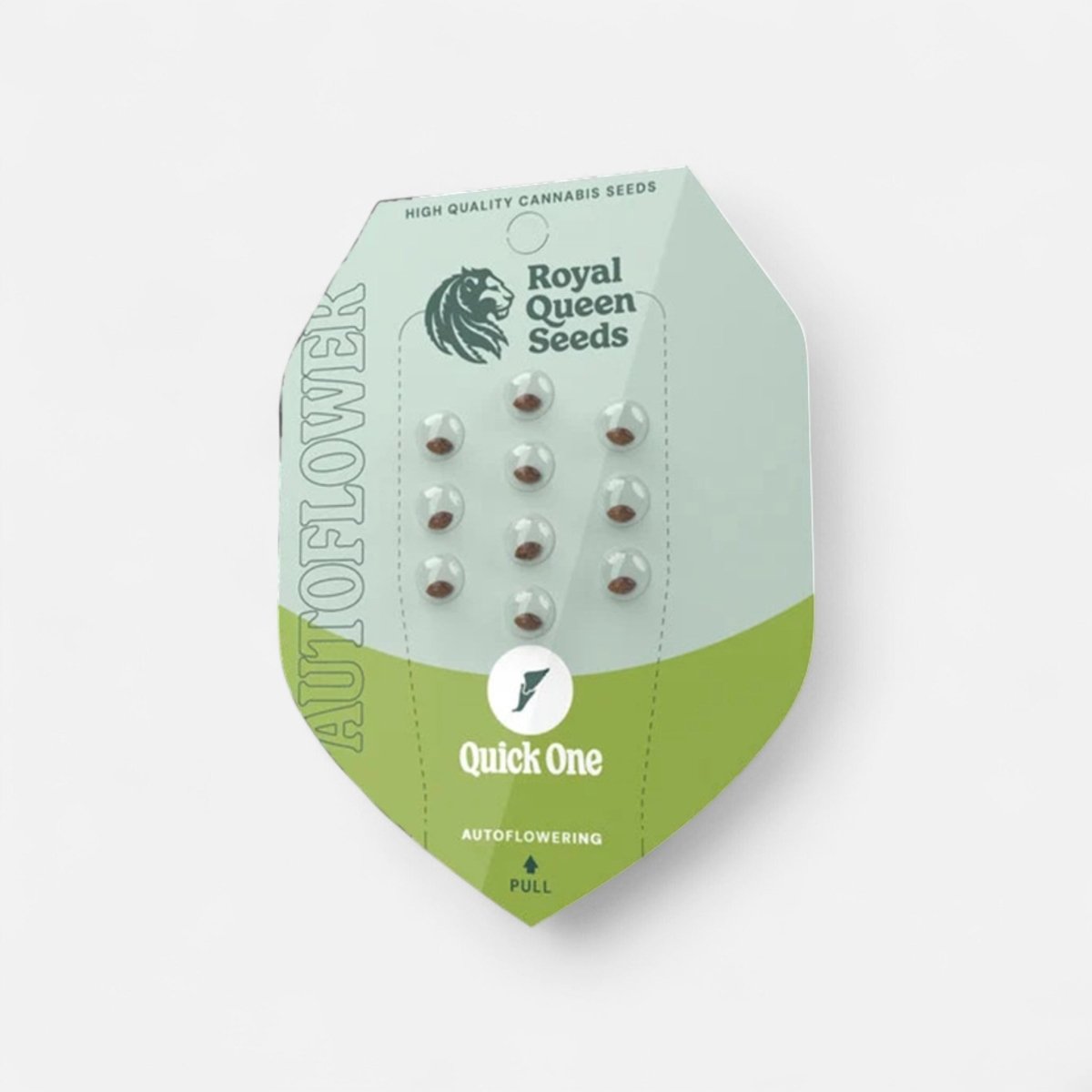 Quick One | Autoflowering Cannabissamen - Hanfify