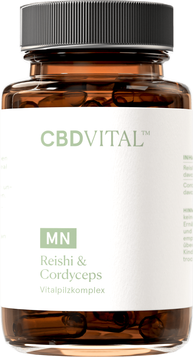 Reishi & Cordyceps Supplements 60 Kapseln - Hanfify