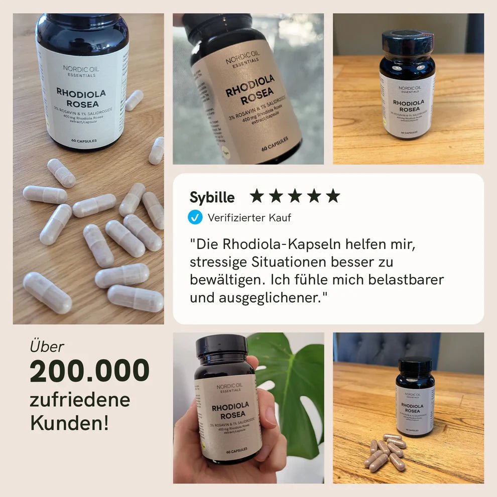 Rhodiola Rosea Extrakt Kapseln Supplements - Hanfify