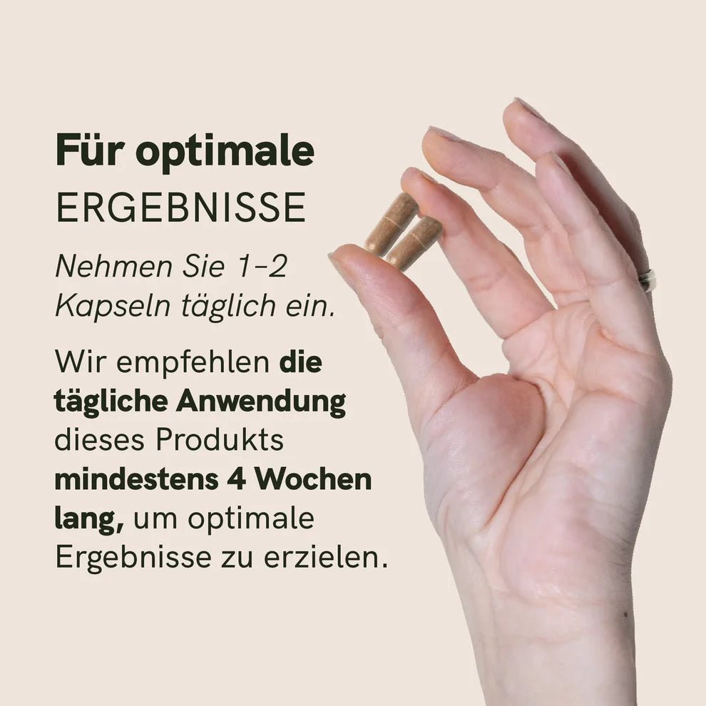 Rhodiola Rosea Extrakt Kapseln Supplements - Hanfify