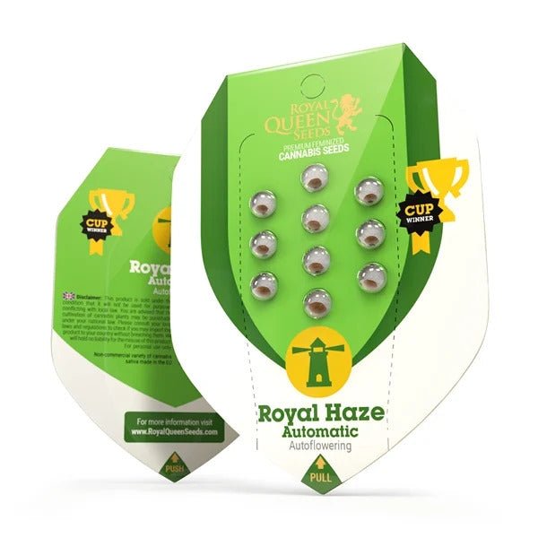 Royal Haze | Autoflowering Cannabissamen - Hanfify