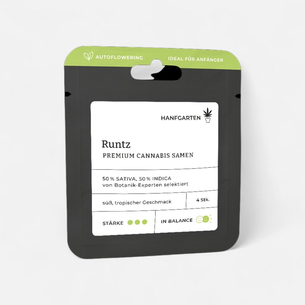 Runtz | Autoflowering - Cannabissamen - Hanfify®