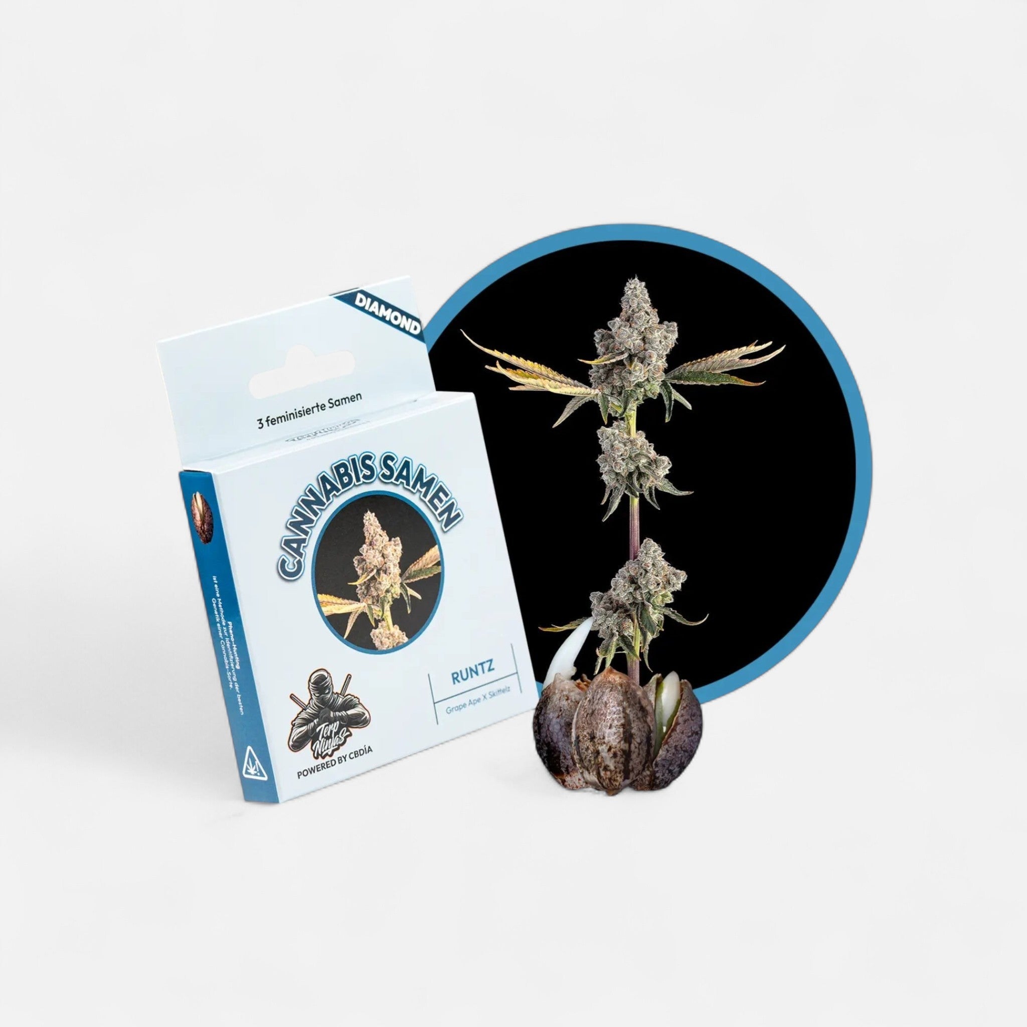 Runtz Samen Feminisiert Cannabissamen 3 Stück - Hanfify
