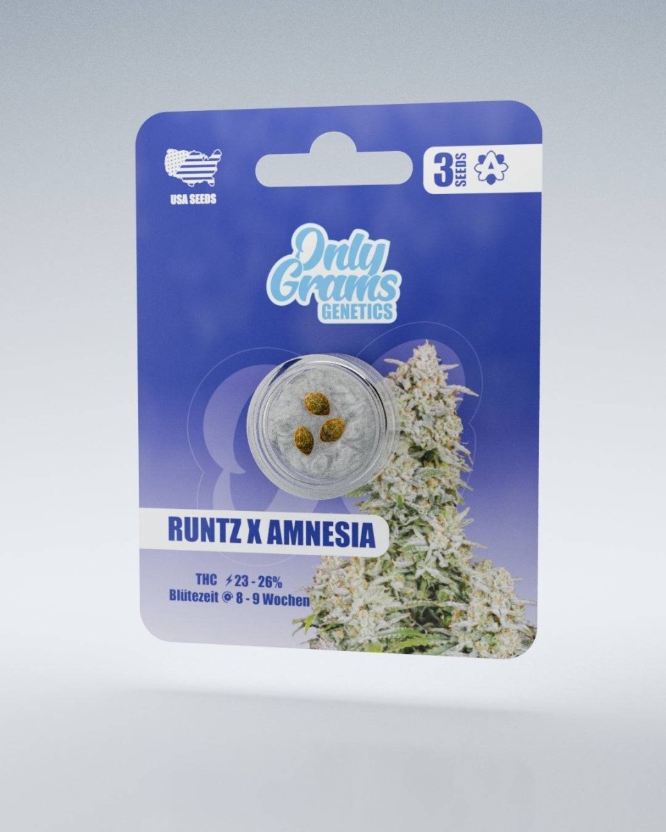 Runtz x Amnesia THC - Seeds Cannabissamen - Hanfify