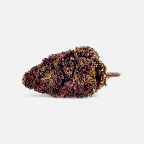 Sexy Groovy Purple 💜 Blüten 5g - Hanfify