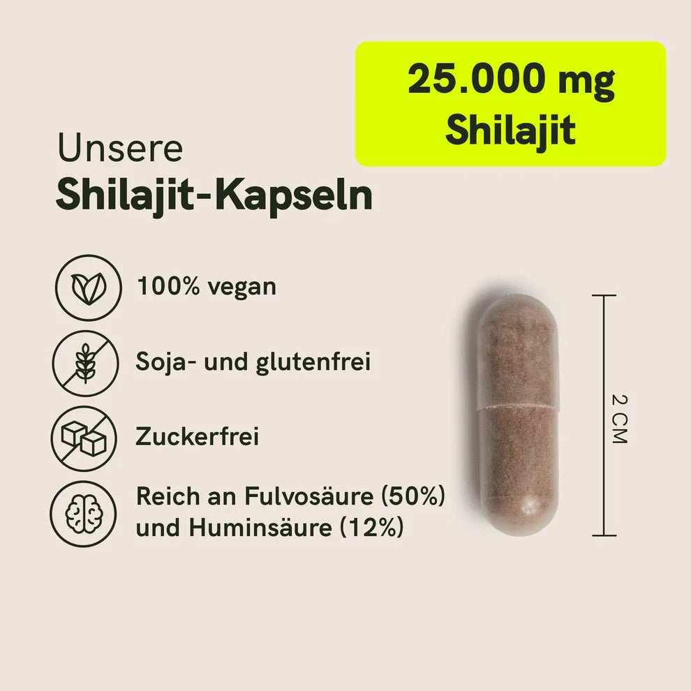 Shilajit Kapseln Supplements - Hanfify