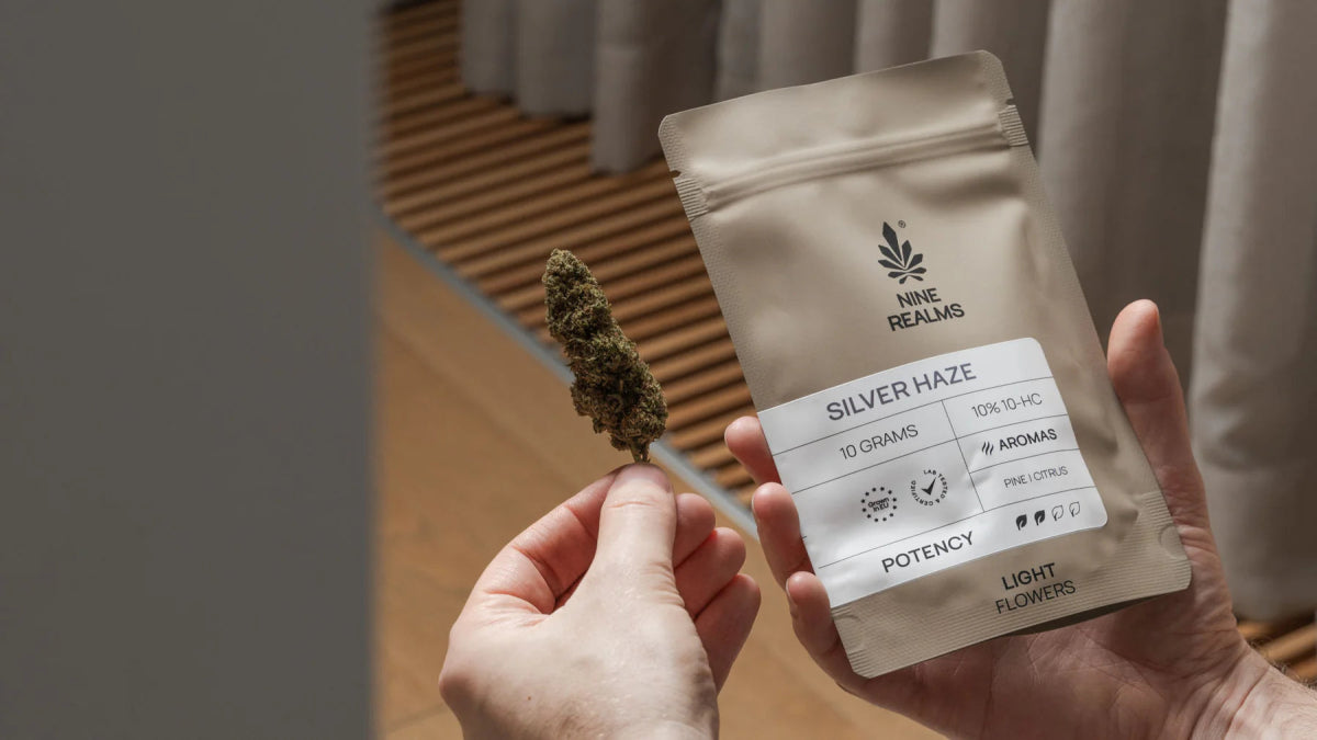 SILVER HAZE x 10 - HC 20% Blüten 3G - Hanfify