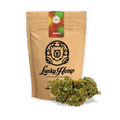 Skittlez Ökopack - Blüten - Hanfify®