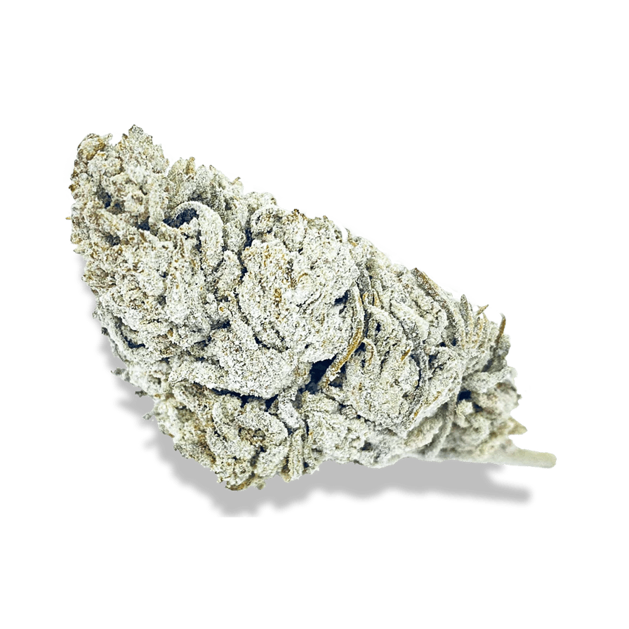 Snow Haze® 50% CBD Glas Blüten 3g - Hanfify®