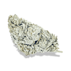 Snow Haze® 50% CBD Glas Blüten 3g - Hanfify®