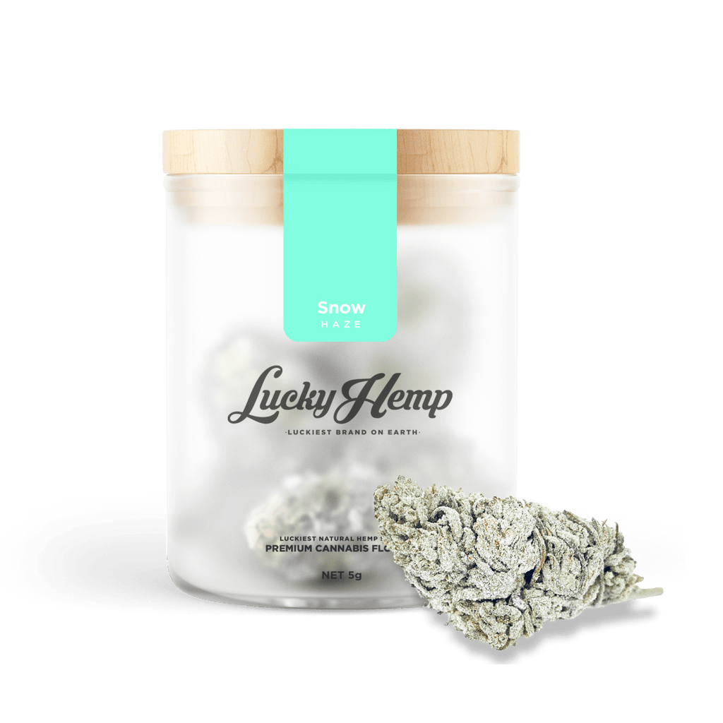 Snow Haze® 50% CBD Glas Blüten 3g - Hanfify®