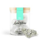 Snow Haze® 50% CBD Glas Blüten 3g - Hanfify®