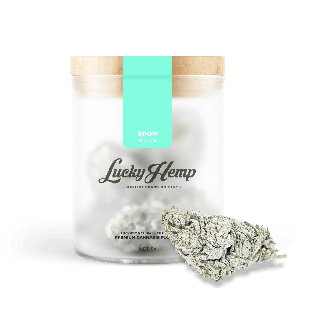 Snow Haze® 50% CBD Glas - Blüten - Hanfify®