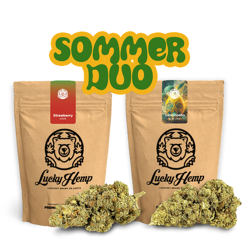 Sommer Duo Blüten 2 Sorten je 5g - Hanfify®