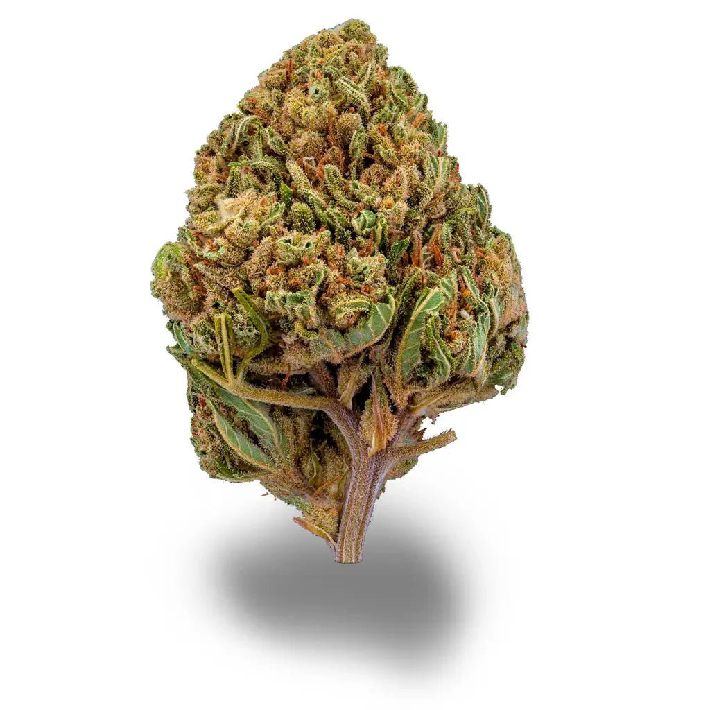 Sour Diesel - Blüten - Hanfify®