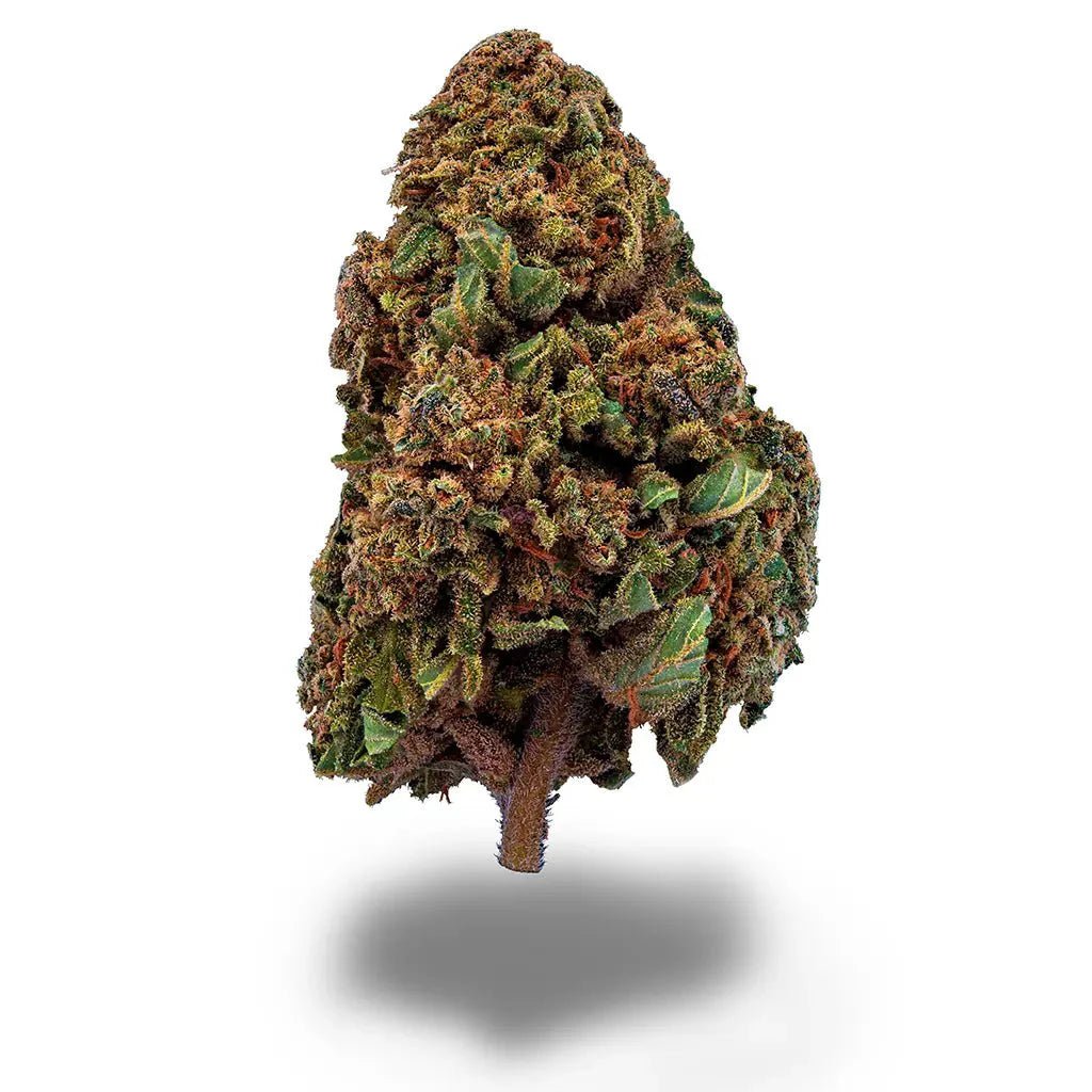 Sour Mango - Blüten - Hanfify®