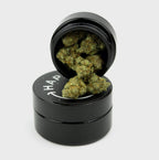 🪐 space grown ORBITZ 9% CBD by Marvin Game Blüten 3g Dose - Hanfify