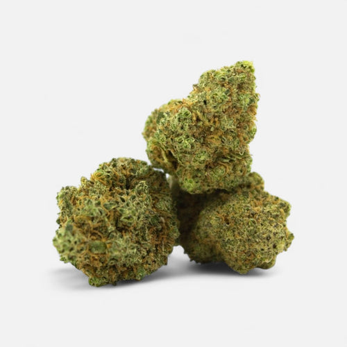 🪐 space grown ORBITZ 9% CBD by Marvin Game Blüten 3g Dose - Hanfify