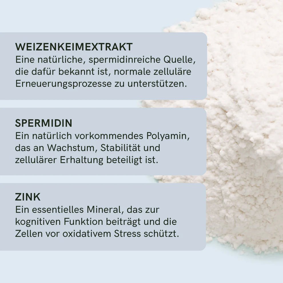 Spermidin Kapseln Supplements - Hanfify