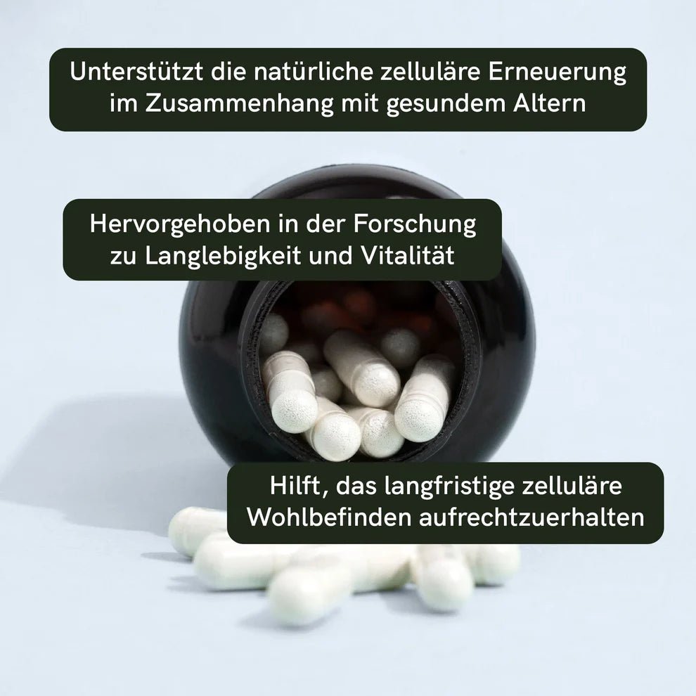 Spermidin Kapseln Supplements - Hanfify