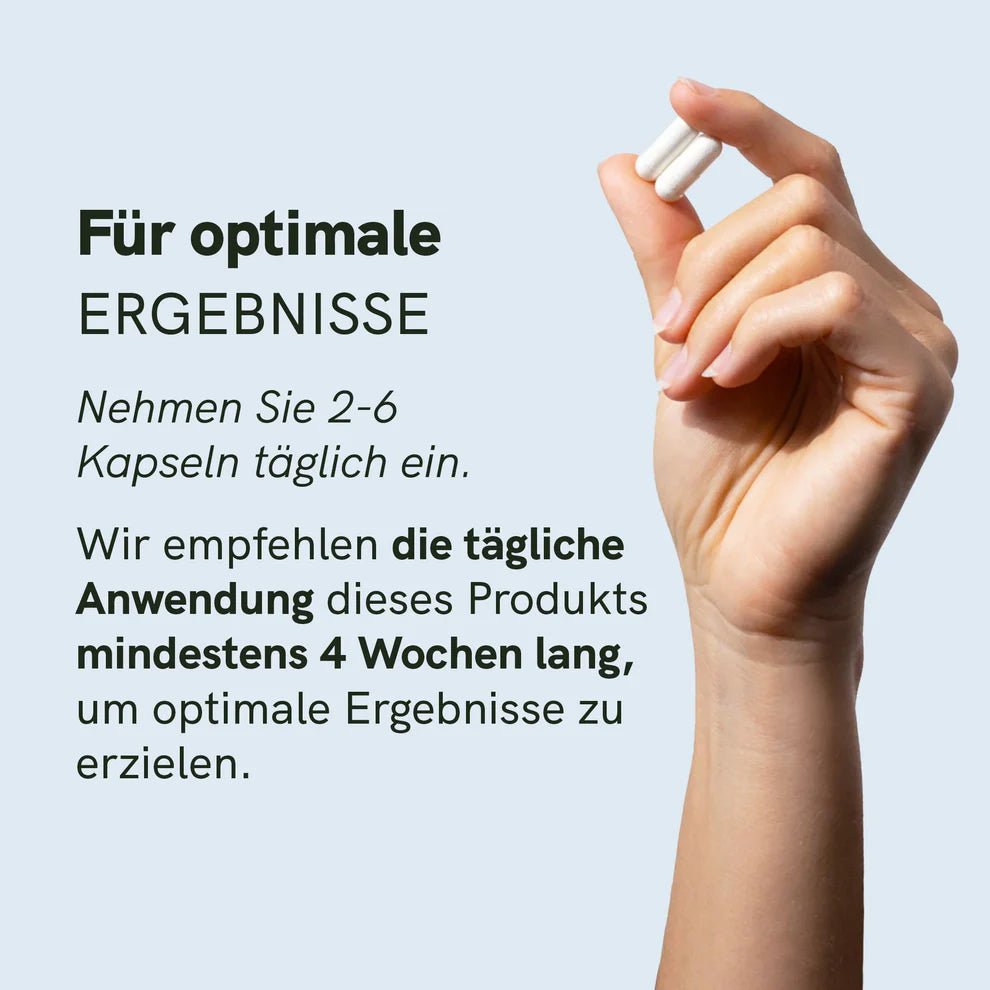 Spermidin Kapseln Supplements - Hanfify