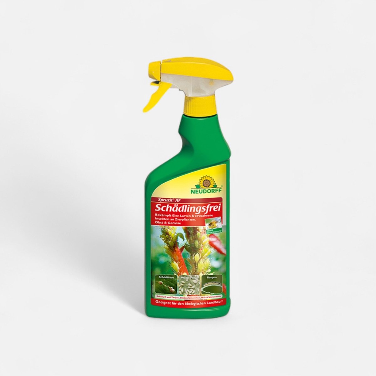 Spruzit AF Schädlingsfrei - Growshop - Hanfify®