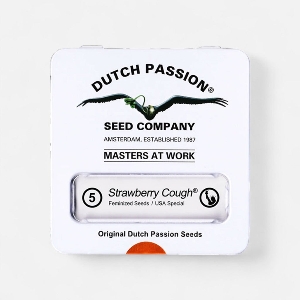 Strawberry Cough | Feminisiert Cannabissamen - Hanfify