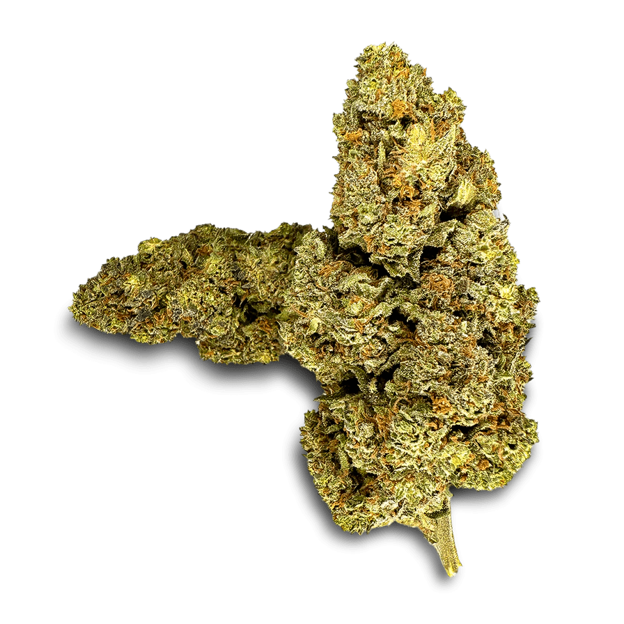 Strawberry Haze Ökopack Blüten 5g - Hanfify®