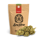 Strawberry Haze Ökopack Blüten 5g - Hanfify®