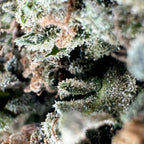 Strawberry Haze Ökopack Blüten 5g - Hanfify®