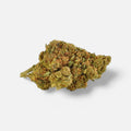 Strawberry Haze - Superior Blüte 55% - Blüten - Hanfify®