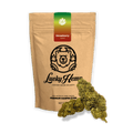 Strawberry Kush - Blüten - Hanfify®
