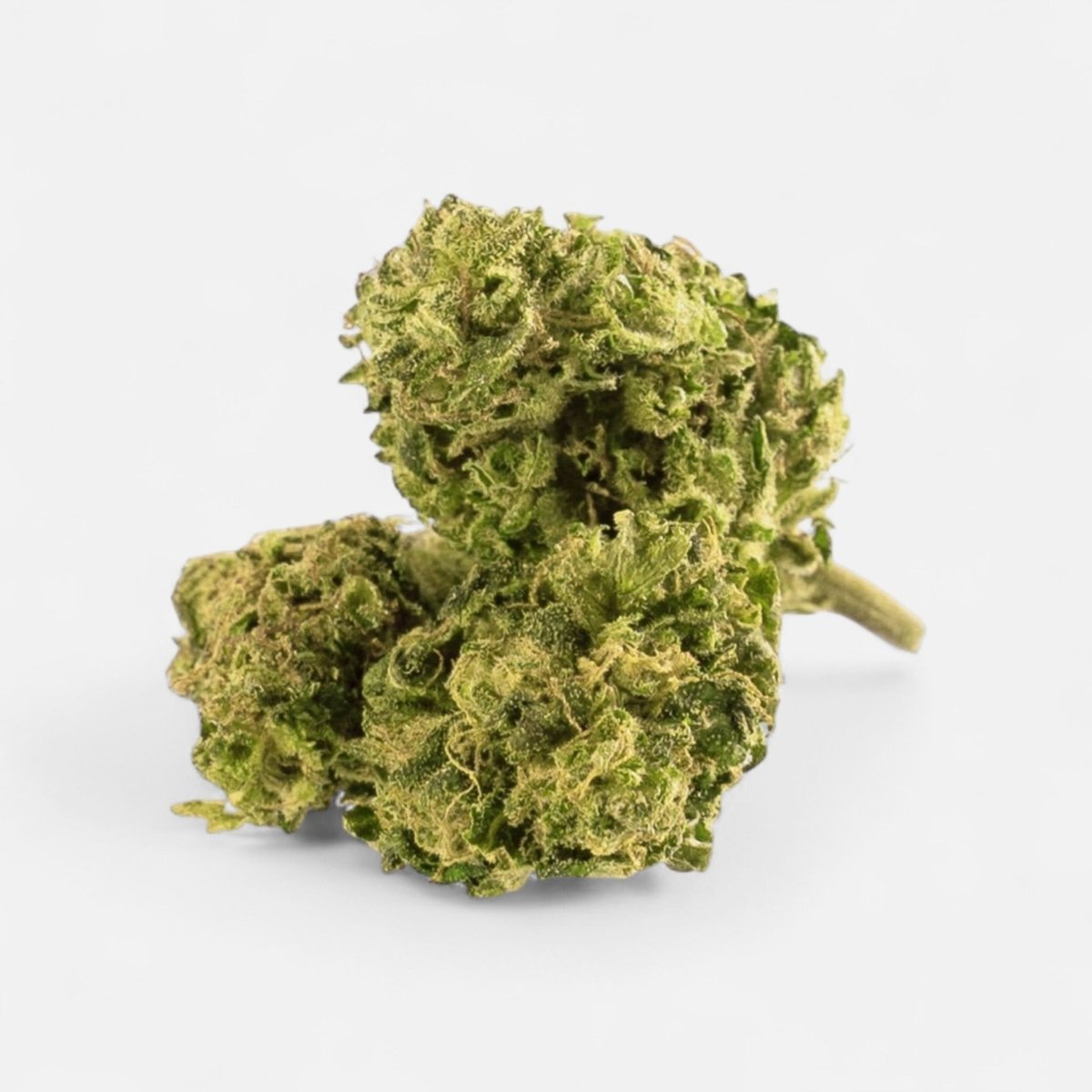 🍋 Super Lemon Haze 15% CBD Blüten 3g Dose - Hanfify