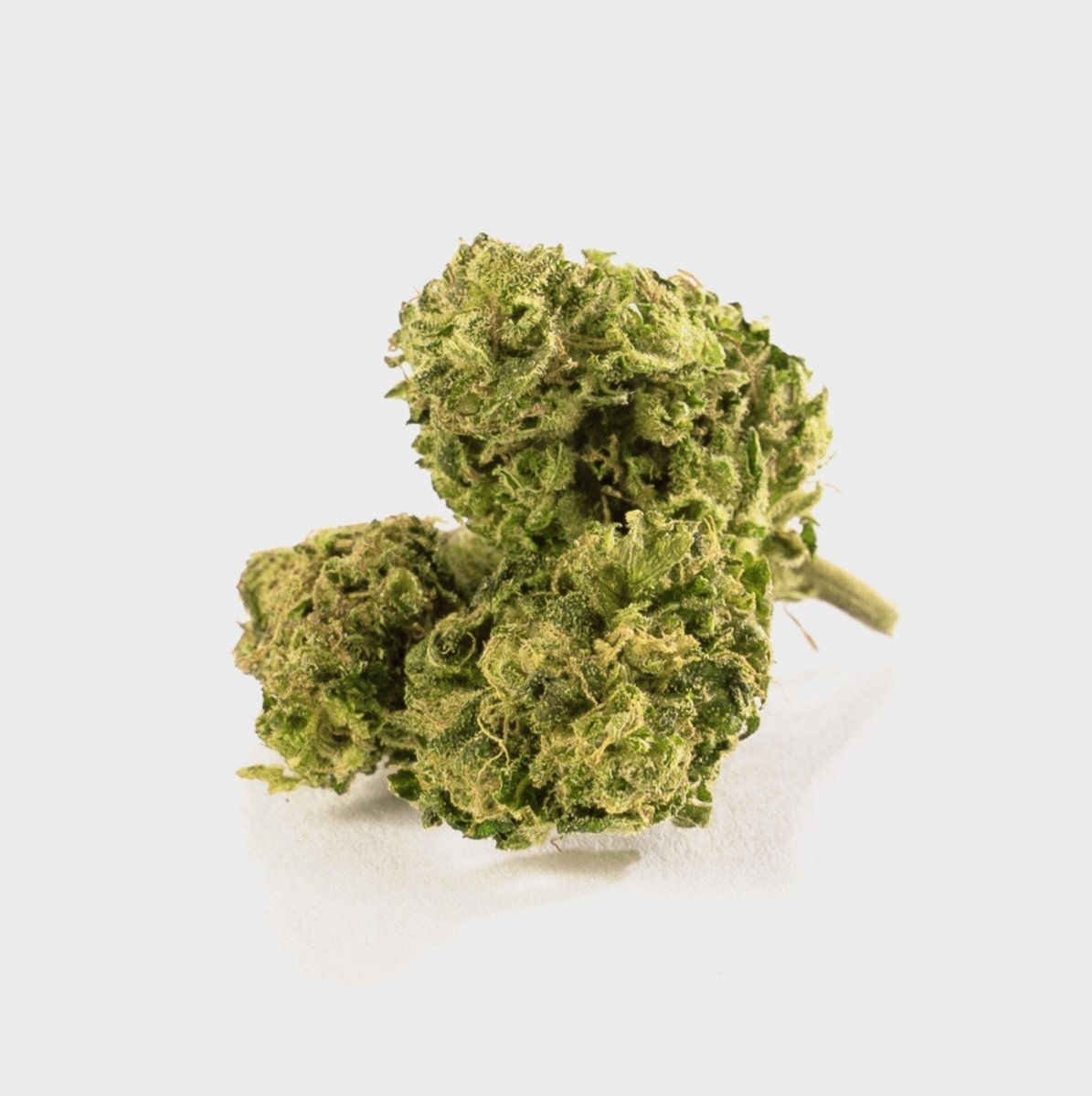 🍋 Super Lemon Haze 15% CBD Blüten 3g Dose - Hanfify®