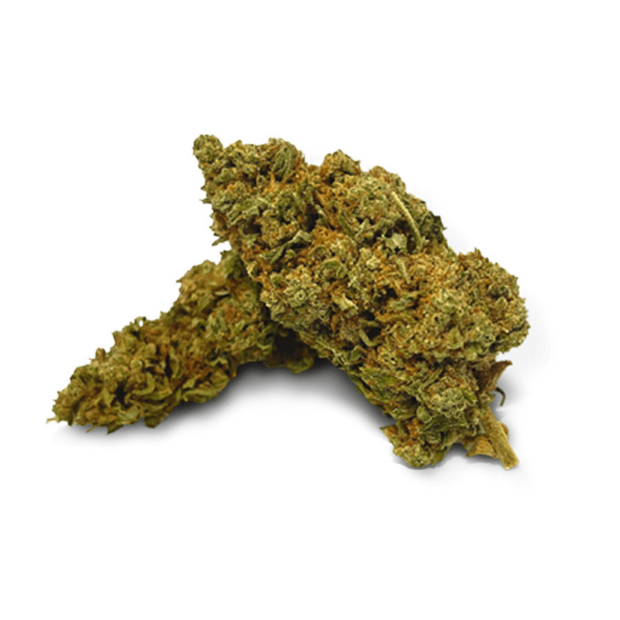Super Lemon Haze Ökopack Blüten 3g - Hanfify®