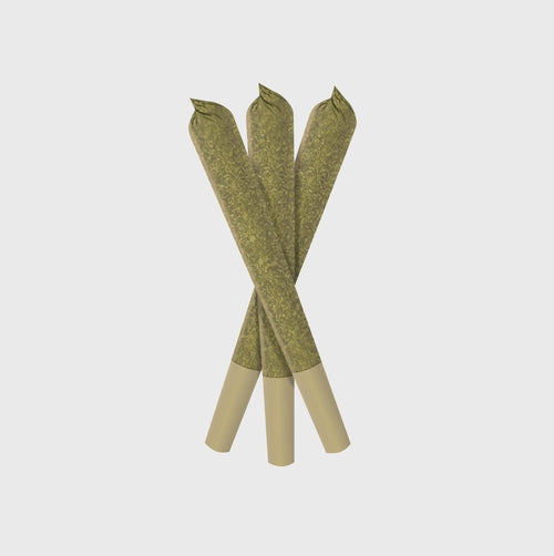Super Silver Haze 10HC Prerolls Joints 3er Pack - Hanfify