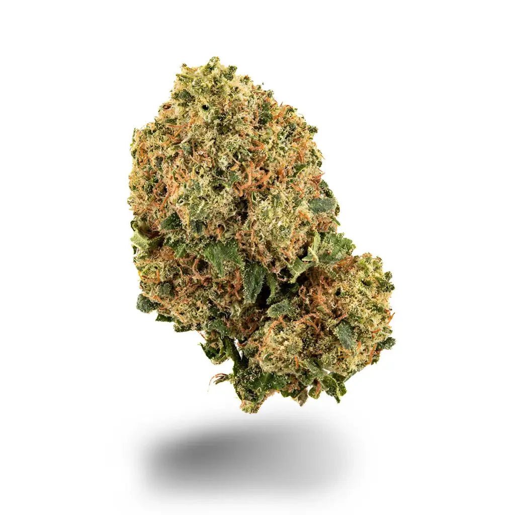 Super Skunk - Blüten - Hanfify®