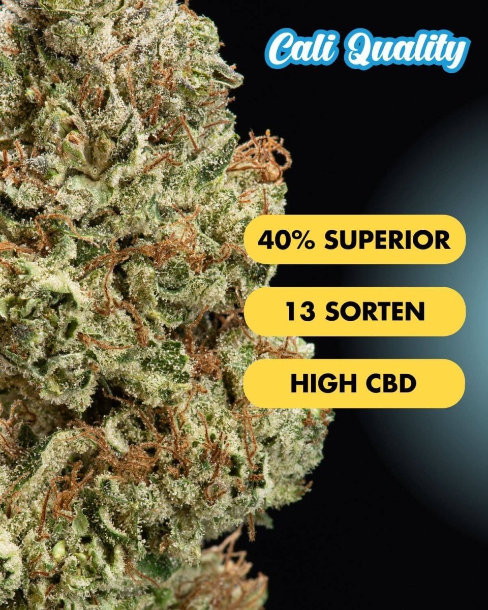 Superior Blüten Probierset | 13 Sorten - Blüten - Hanfify®